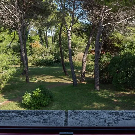 Casa Boss Tirrenia Stella Maris Apartment *